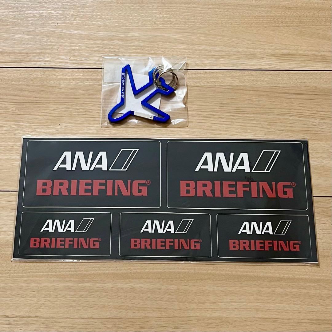 BRIEFING for ANA スーツケース H-34F 34L