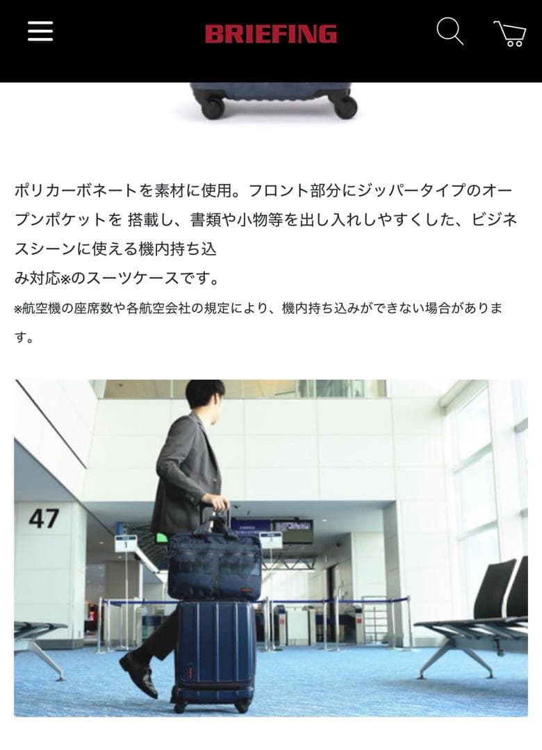 BRIEFING for ANA スーツケース H-34F 34L