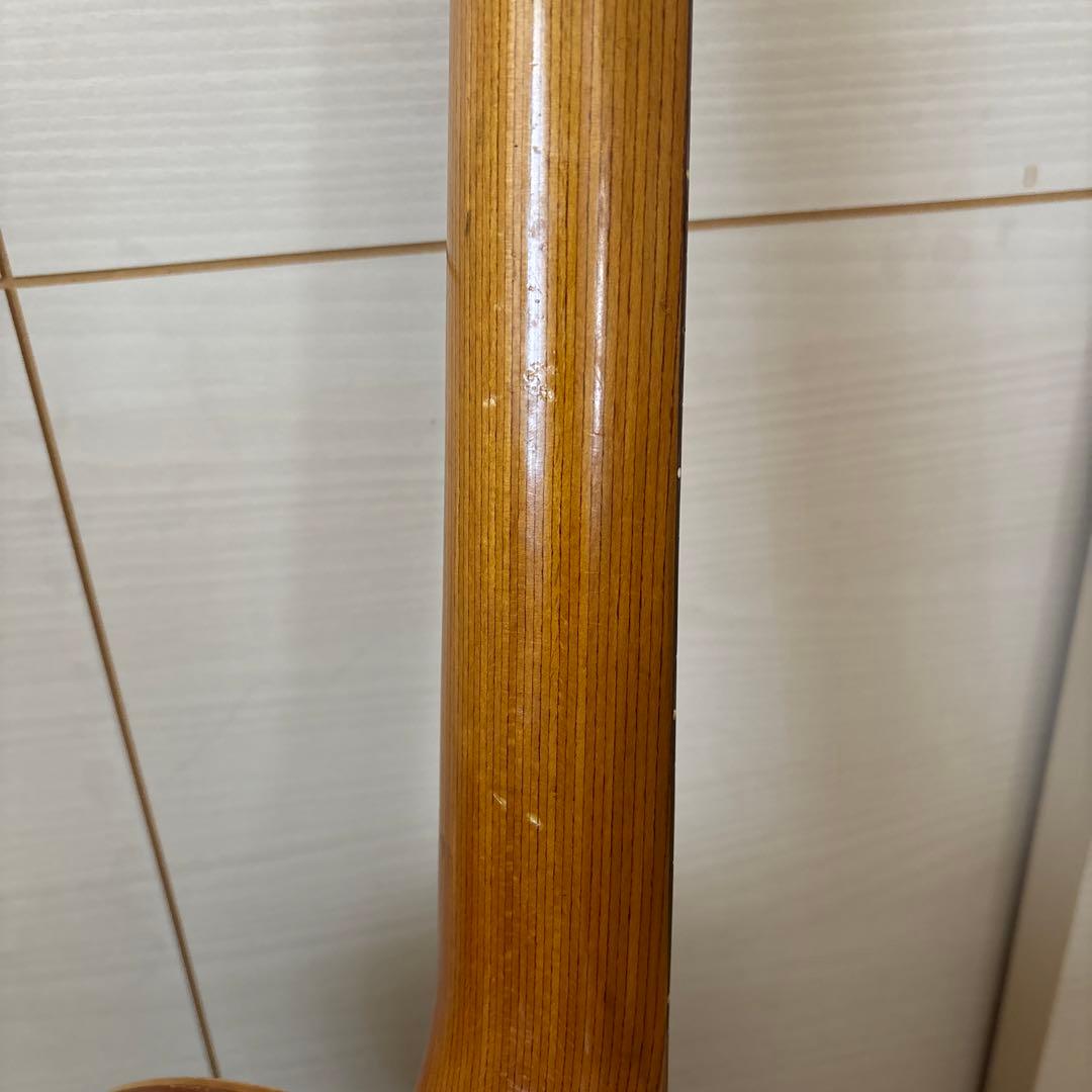 FRAMUS フラマス　アコースティックギター