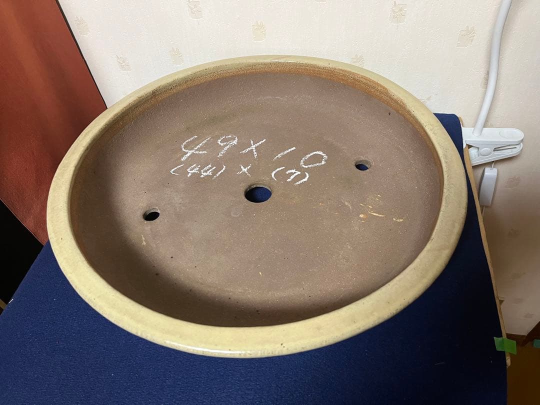 997 盆栽　盆栽鉢　植木鉢　中国鉢　白交趾