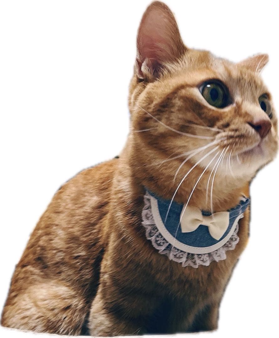 ミニ丸スタイ(野いちご柄 ピンク) Ｎｏ．84-580