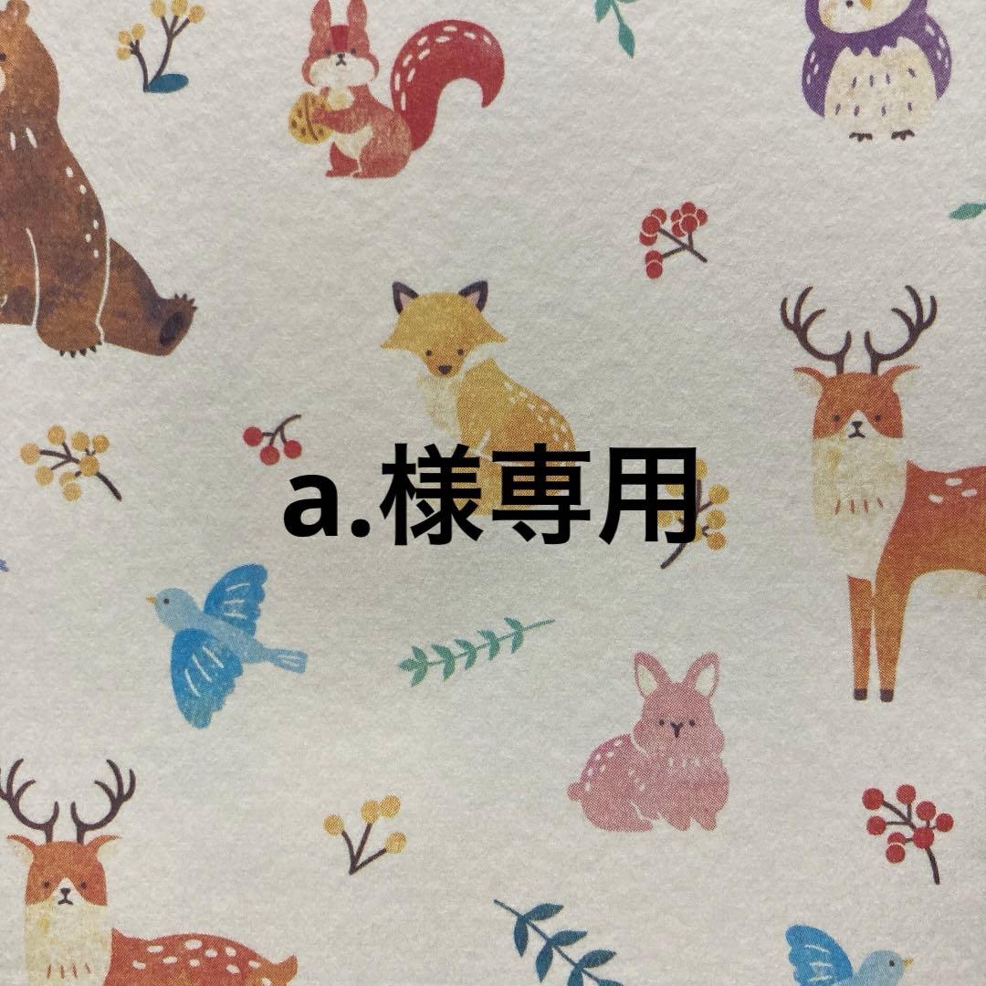 サキナ 各種