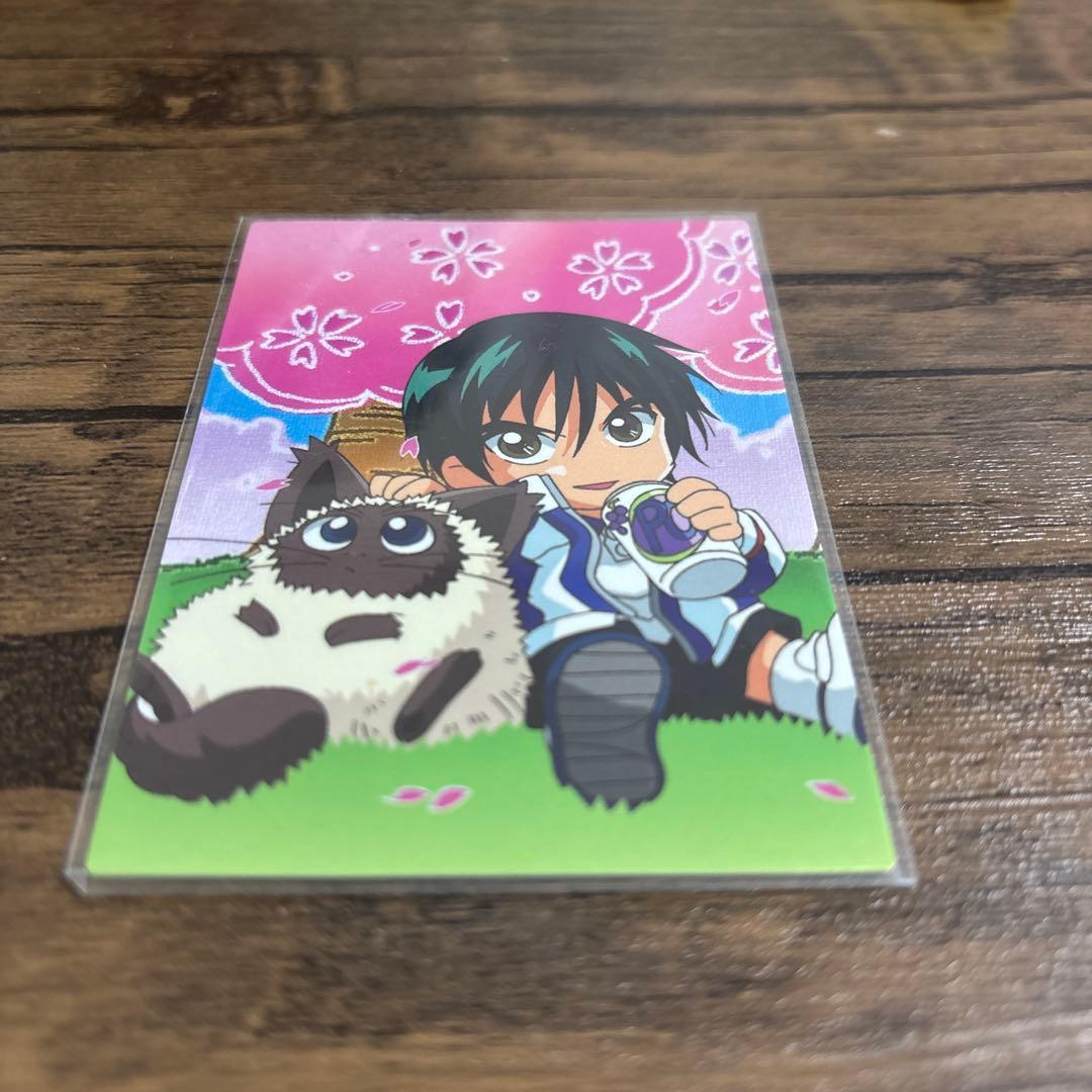 テニスの王子様☆越前リョーマ＆カルピン☆お花見レアカード テニプリトレカ