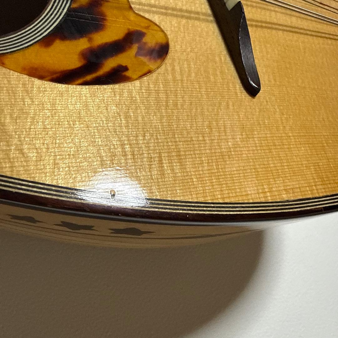 石川捷二郎監修 Venezia マンドリン M-50