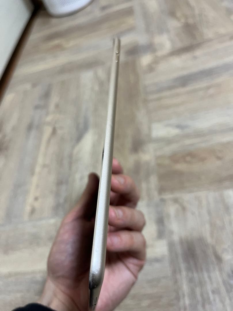 iPad mini 4 (第4世代) Wi-Fi 64GB シャンパンゴールド