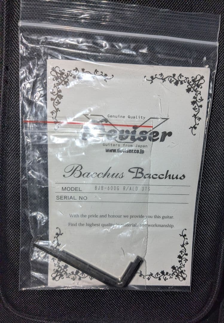 Bacchus BJB-600 G ALD アルダー 3TS ジャズ ベース