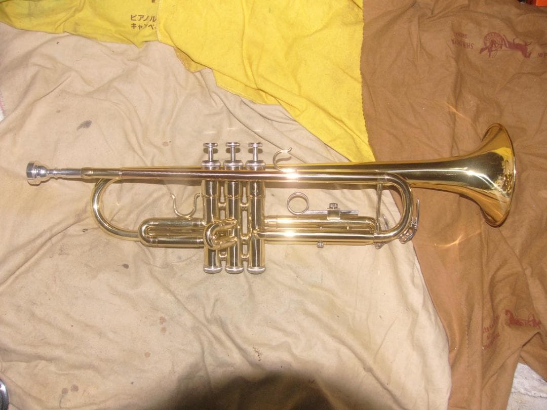 超激安特価！生産終了品 ・ENNBOM バックスタイルモデル Tp（新古品級）