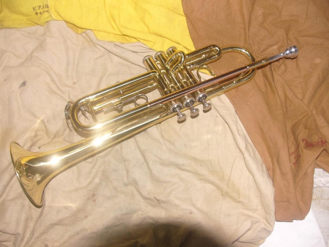 超激安特価！生産終了品 ・ENNBOM バックスタイルモデル Tp（新古品級）