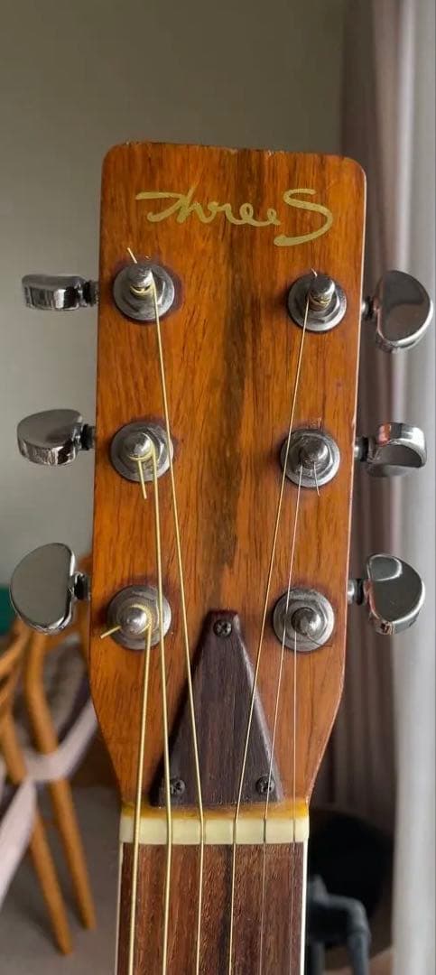 アコースティックギター スズキバイオリン製　SHREE S ギグバッグセット