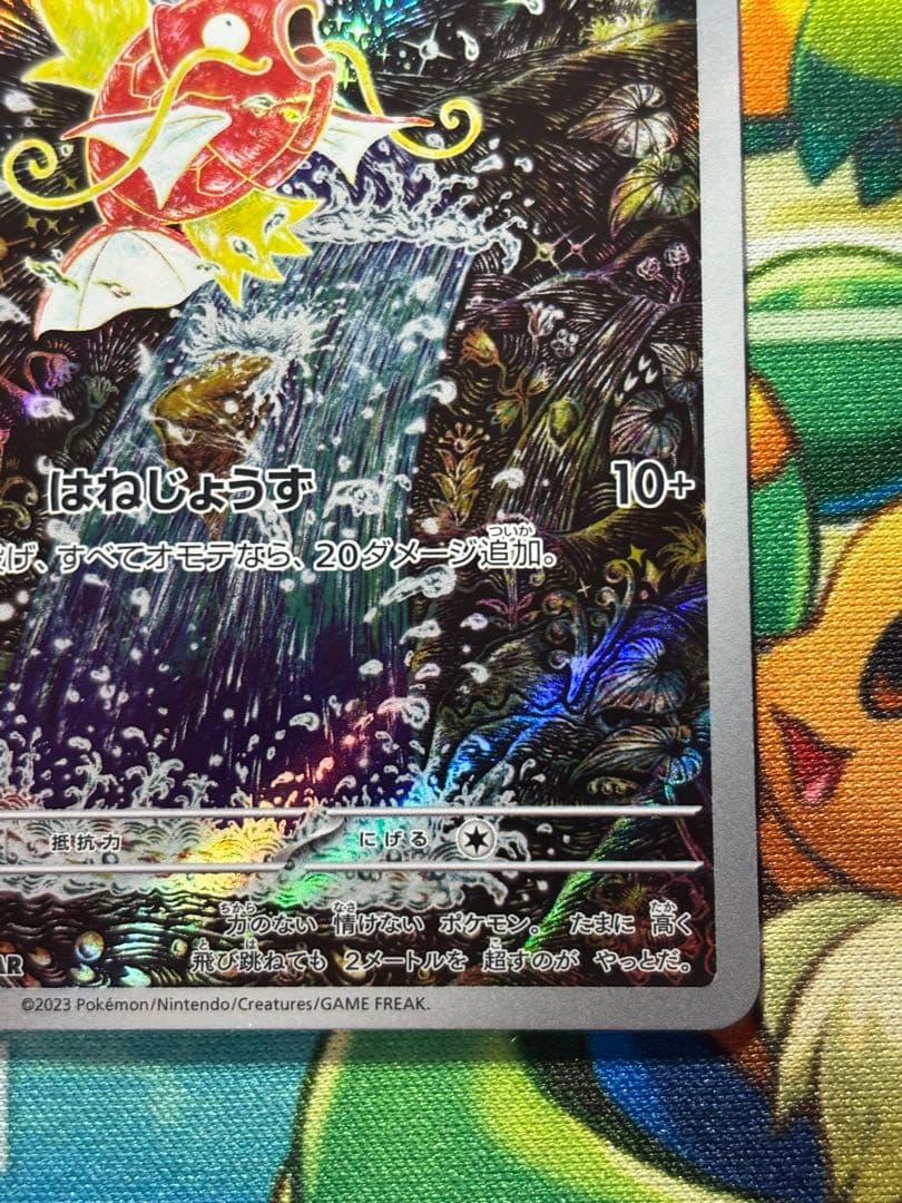 コイキングar