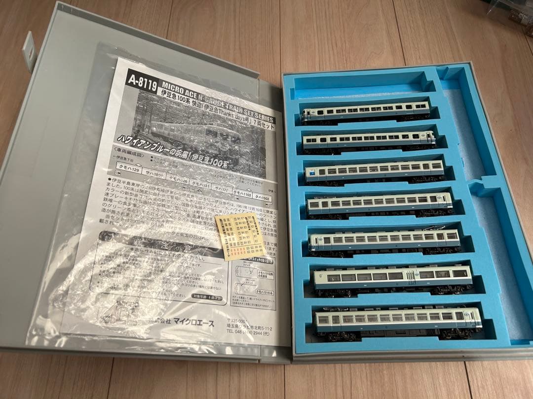 伊豆急 100系 快速 伊豆急Thanks days号 A8119