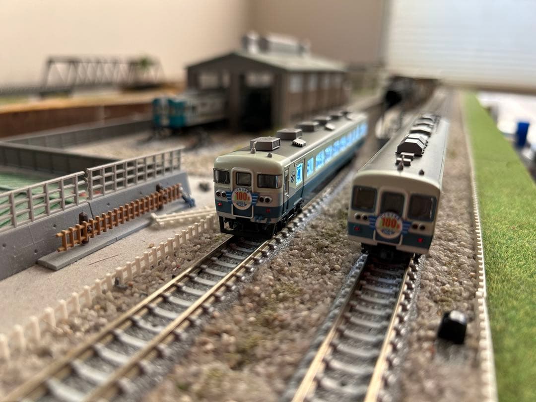 伊豆急 100系 快速 伊豆急Thanks days号 A8119