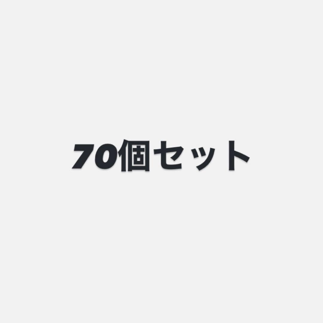 あんスタ ポートレート サイン 缶バッジ ライカ 宝丈萊香　70個セット