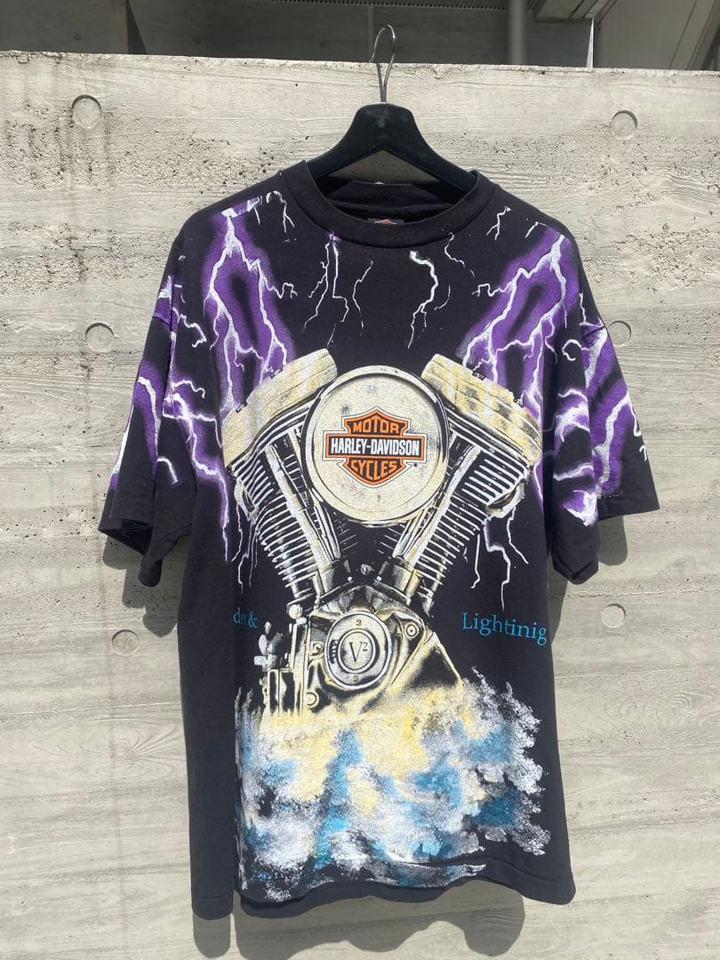 z*s様 正月大特価　Harley-Davidson Thunder&Light