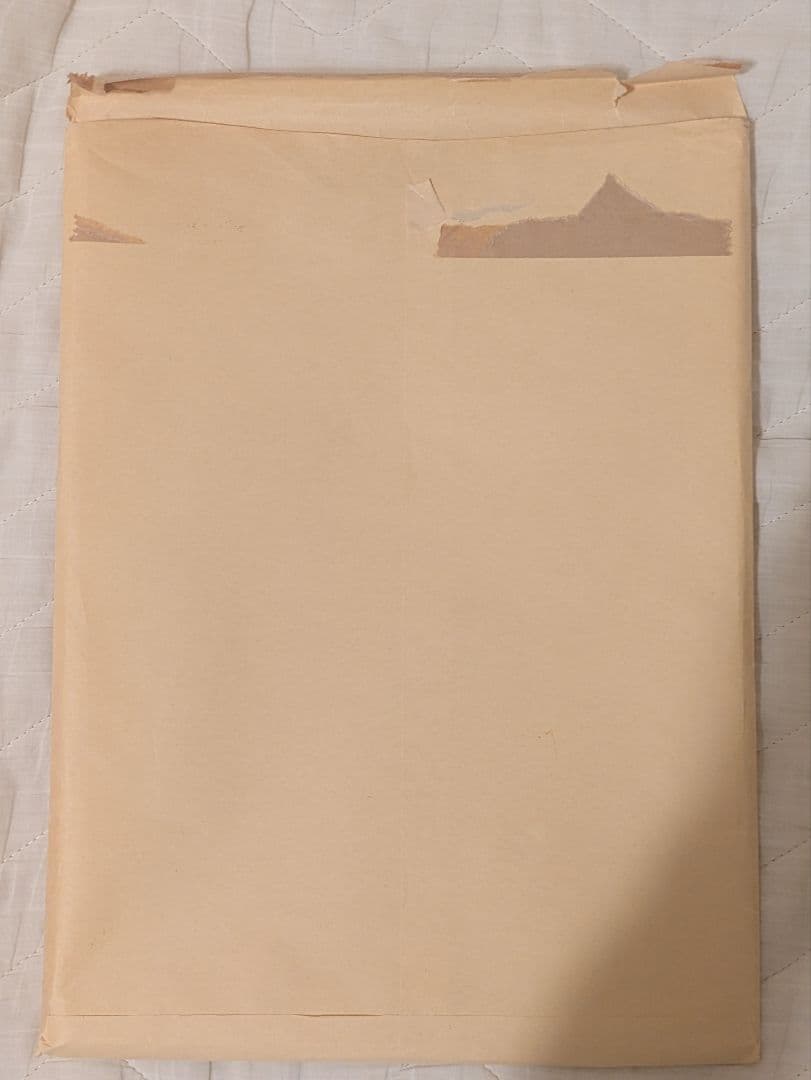 鬼滅の刃 複製色紙 ジャンプGIGA 2020 SUMMER おまけ4点付き