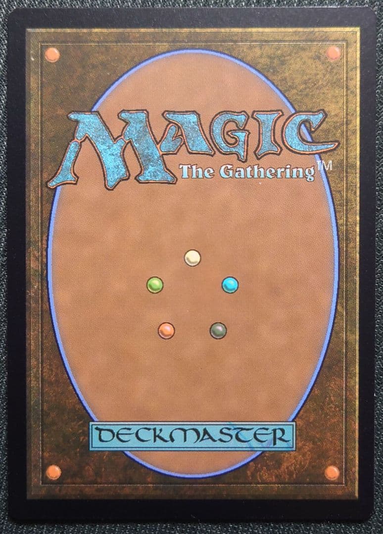 mtg 稀少個体 ボーダーレス FOIL 永劫の好奇心 日本語版 dsk