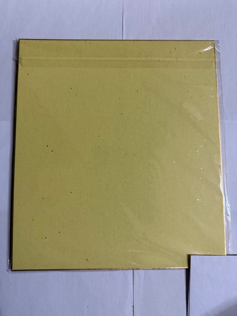 天木じゅん色紙【本人直筆サイン色紙】【イベント抽選当選品】【非売品】在庫1点のみ