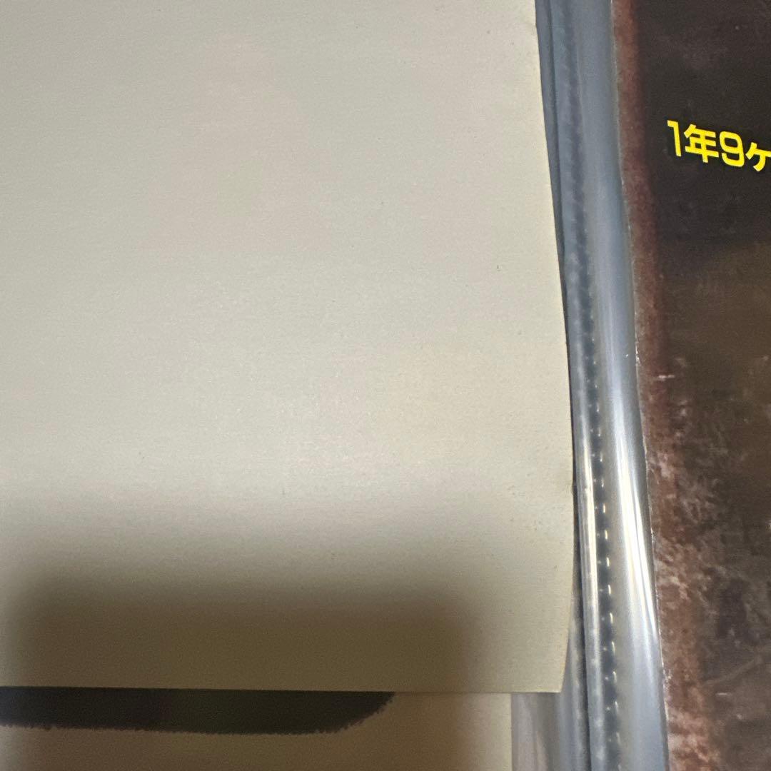 長渕剛　映画　英二　ポスター　2点セット　当時品