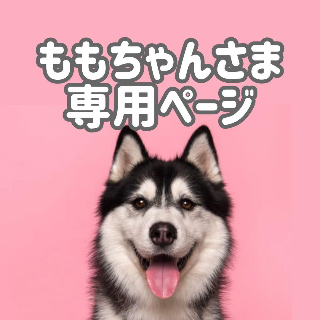 bサ18◯●ももちゃんページ●◯