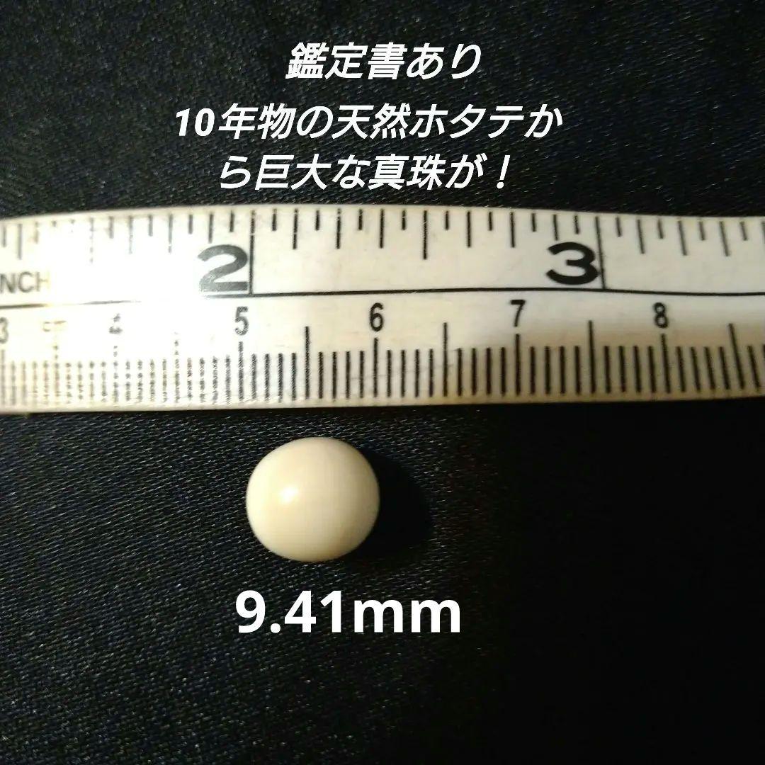 ✰✰スキャロップパール (天然帆立貝から希少な大きなパール)、鑑定書付き