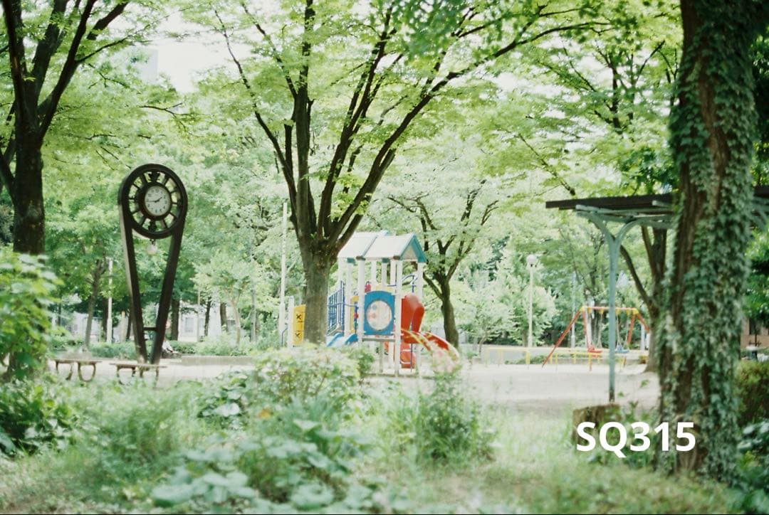 Konica Z-UP80 LMITED 限定カラー 完動品 コンパクトカメラ