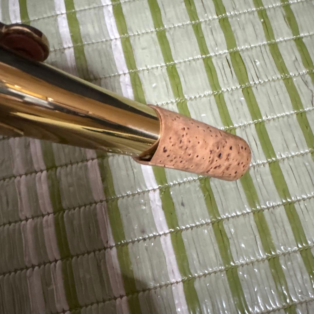 SELVA セルバ アルトサックス SAS-100 ケース付き　管楽器　音楽