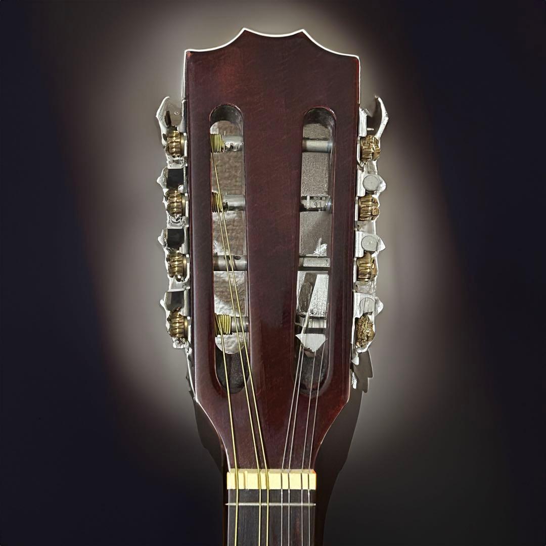 Hora Mandolin Port.1 フラット マンドリン