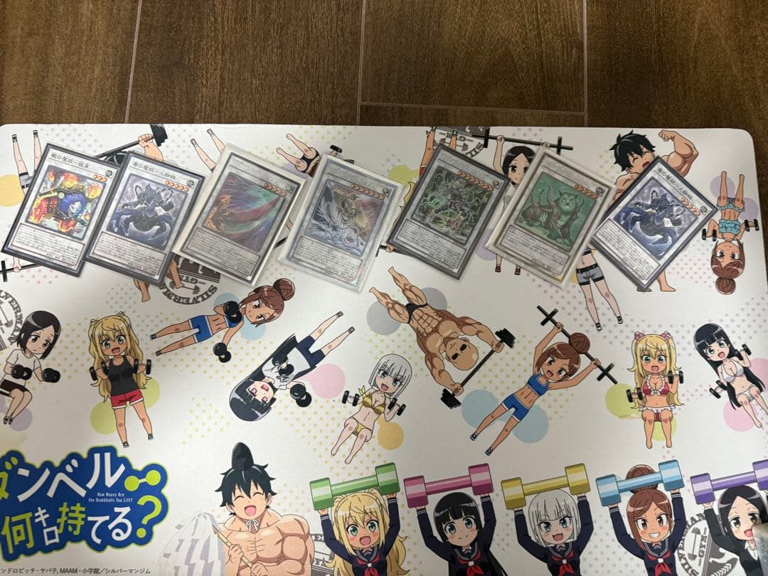 遊戯王OCG デュエルモンスターズ　引退品(最終値下げ)