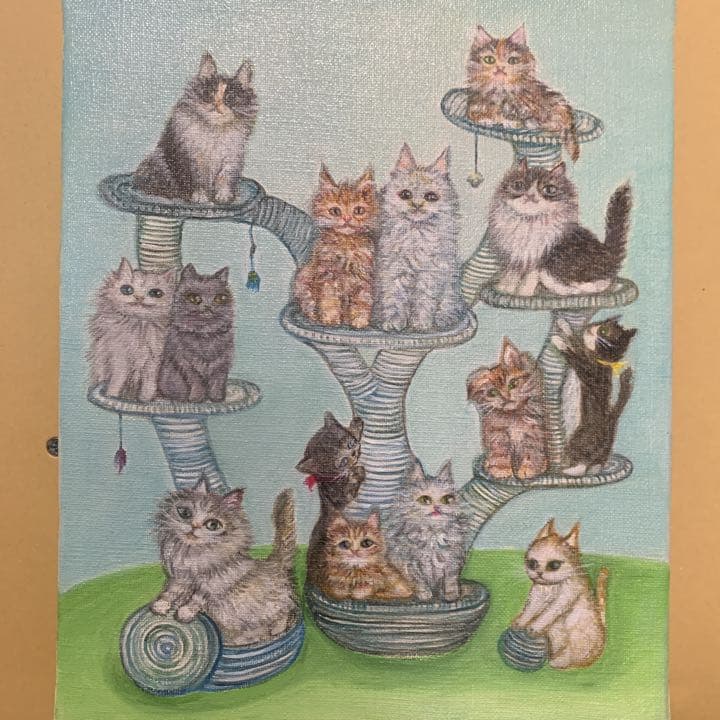 可愛い猫達