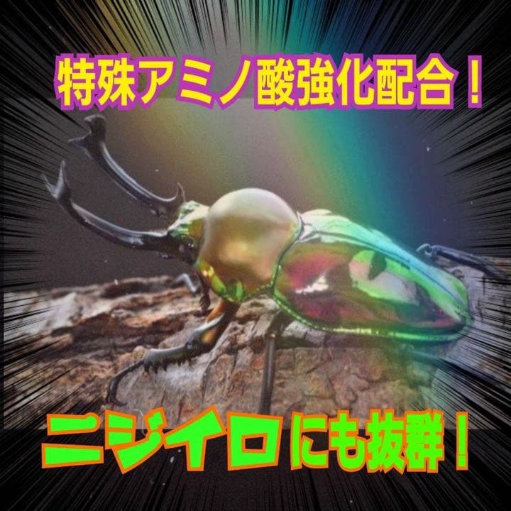 極上！ヒマラヤひらたけ菌糸ブロック【7個】トレハロース強化配合！オオクワに抜群！