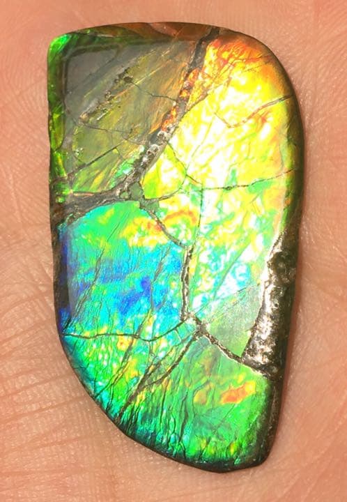 【セール】IMPERIAL アンモライト 両面レインボー レアルース