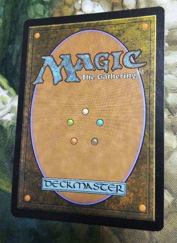 マジック：ザ・ギャザリング MTG Scalding Tarn EXP