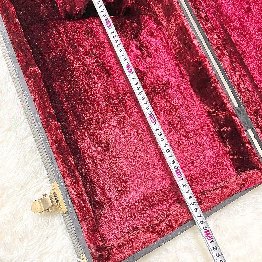 【美品】History 鰐革風 ベース用ハードケース