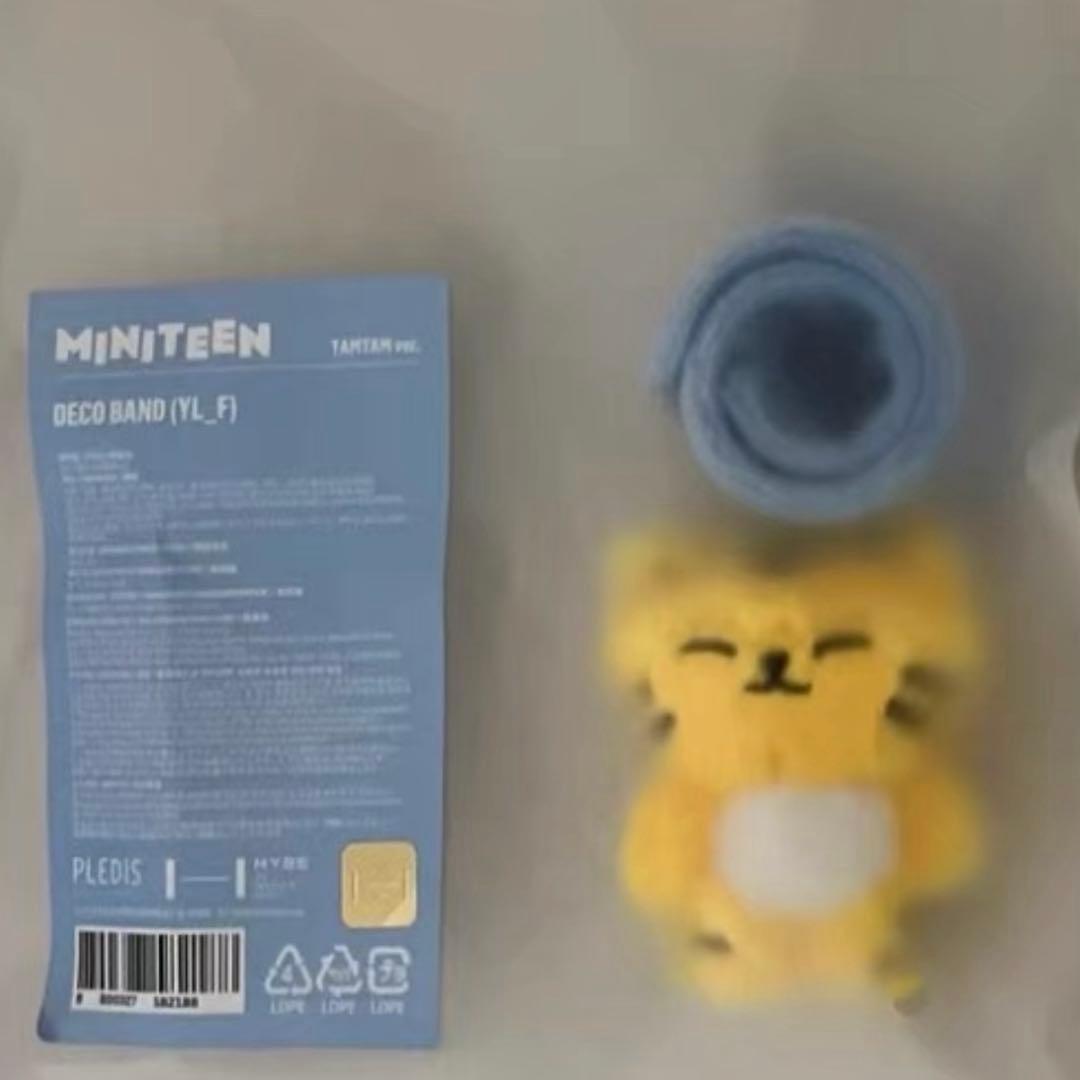 SEVENTEEN ワルツ NEW 仁川 ソウルコン デコバンド ホシ