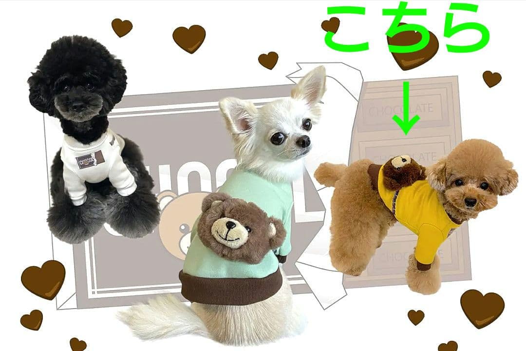 新品Choco Bears＆SWING PLEATS PTサーカスサーカス