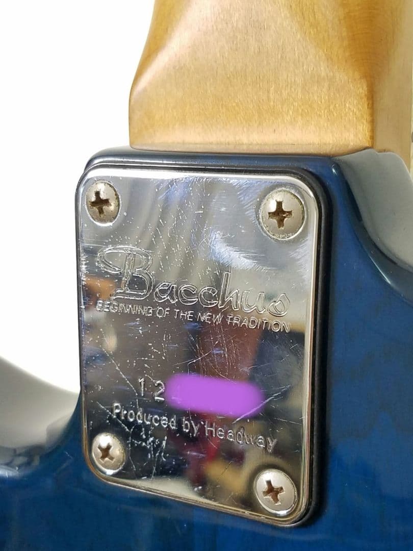 Bacchus SURF HANDMADE ジャガーシェイプ エレキギター