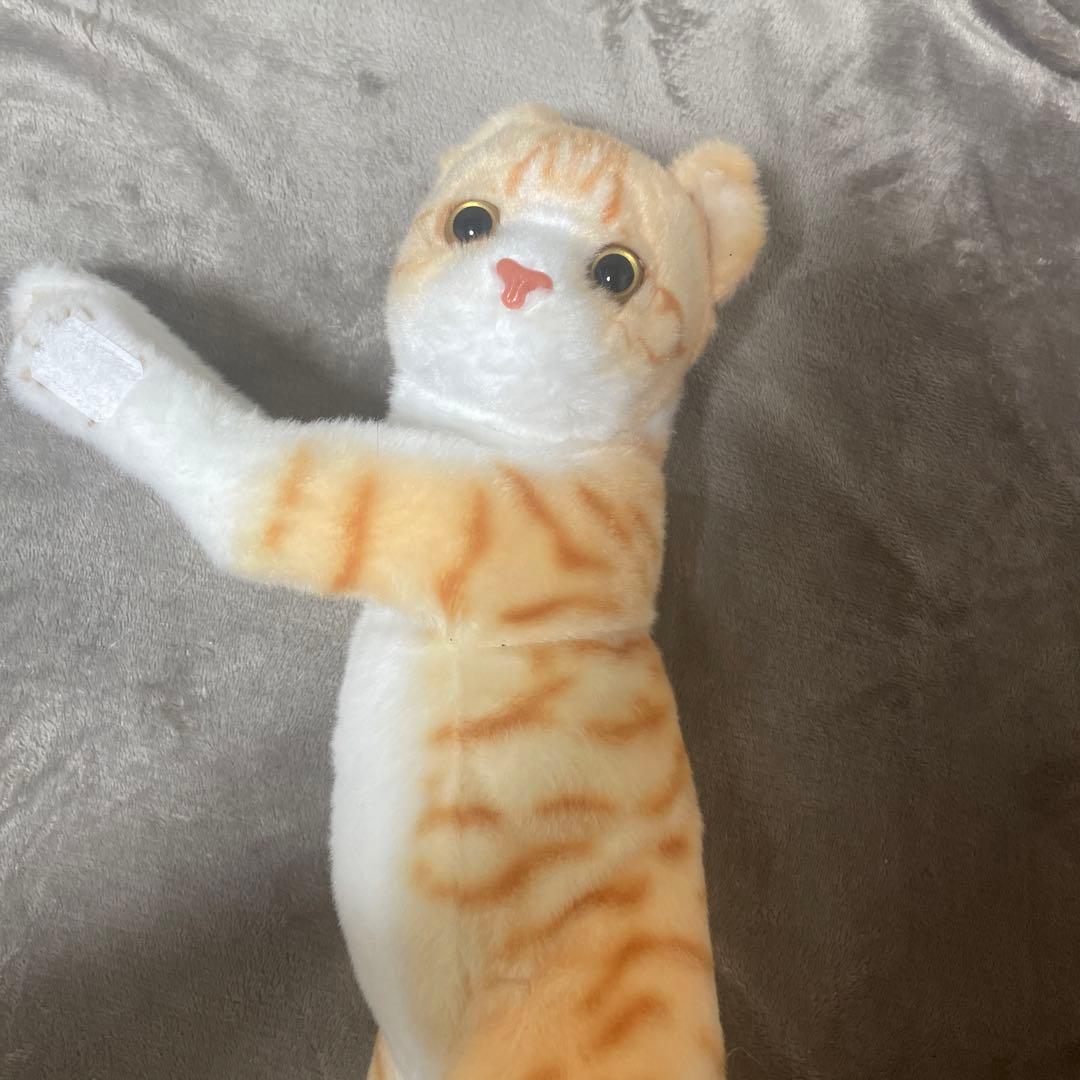 ねこ