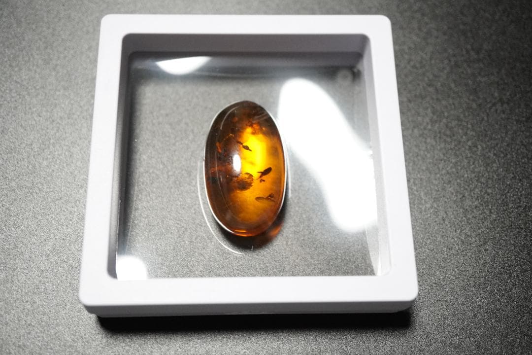 天然　琥珀　特大45ｃｔオーバー　虫入り