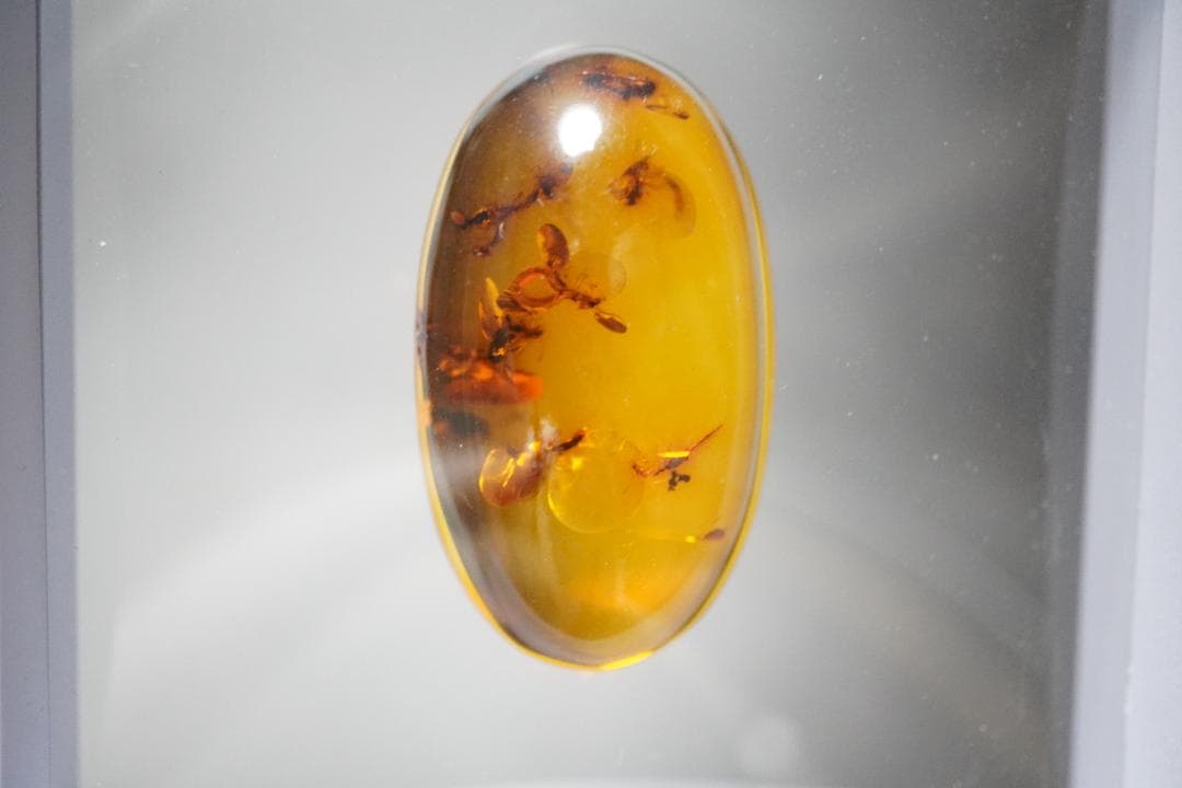 天然　琥珀　特大45ｃｔオーバー　虫入り