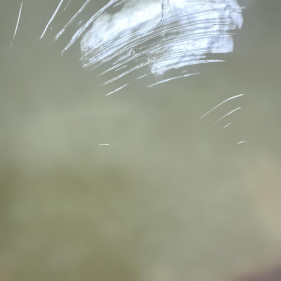 グラスアートフィルム10枚