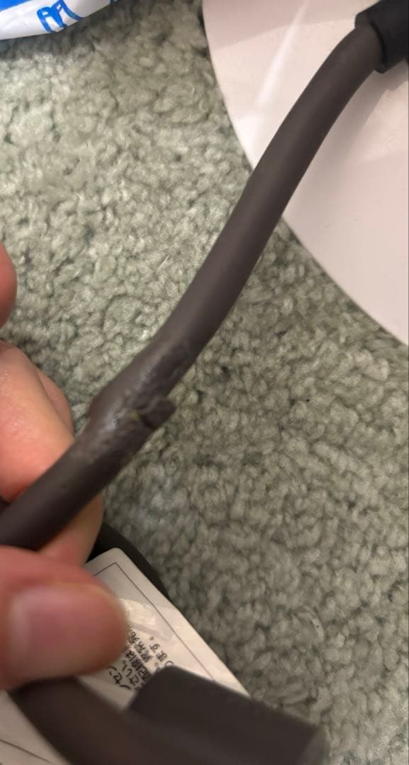 dyson Hot+Cool 扇風機　AM09 2022年購入