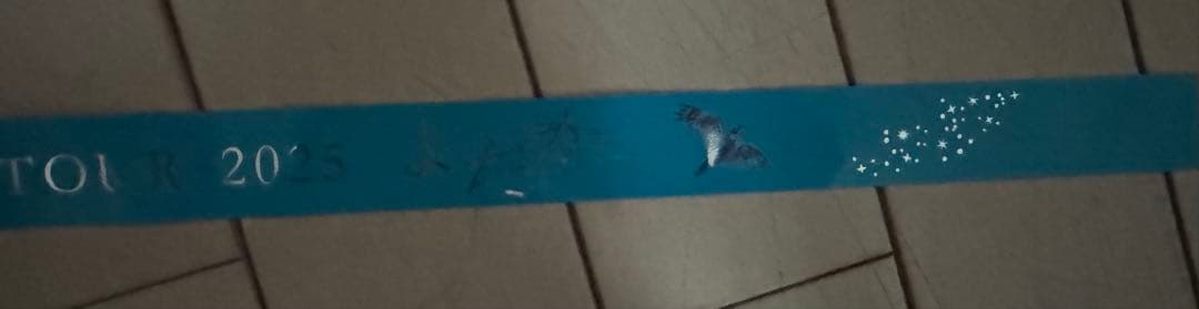 AdoドームツアーよだかフーディーXLサイズ・SS特典ブローチその他おまけセット