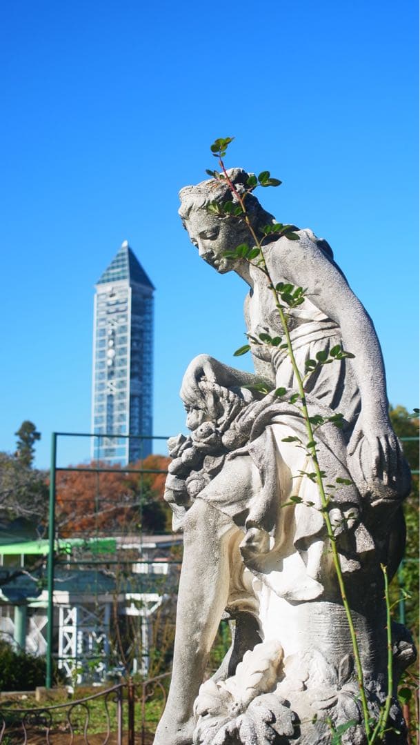 RICOH GXR 特別セット　作例あり❗️