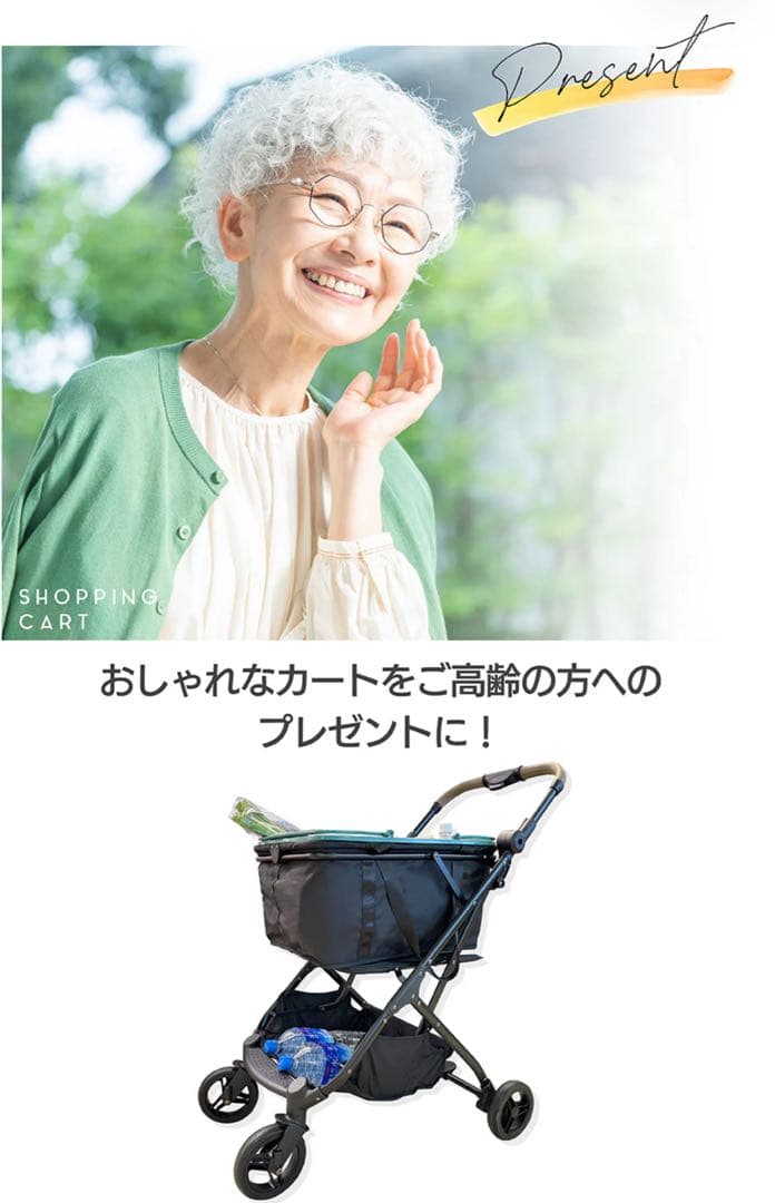 【美品】エコー　マイカート　ショッピングカート シルバーカー　保冷バッグ付き