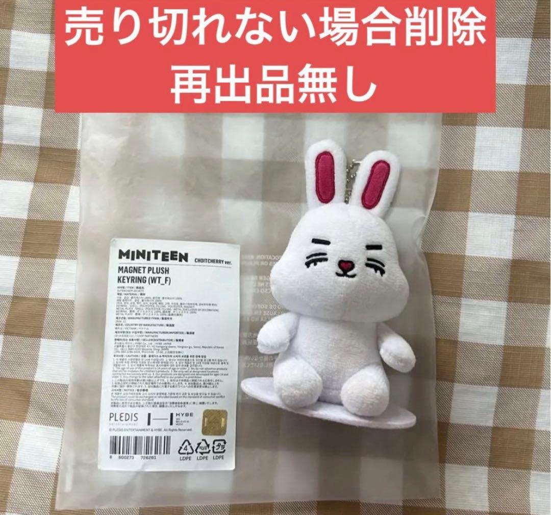 miniteen エスクプス マグネットキーリング