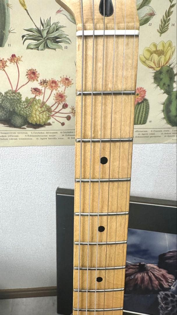 Squier Affinity Telecaster　 MOD