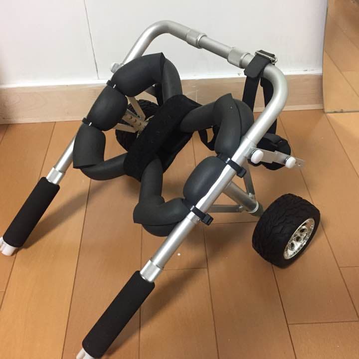 犬の車いす (ある犬ねん)