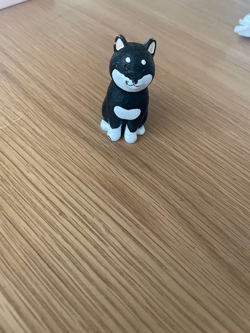 黒豆柴