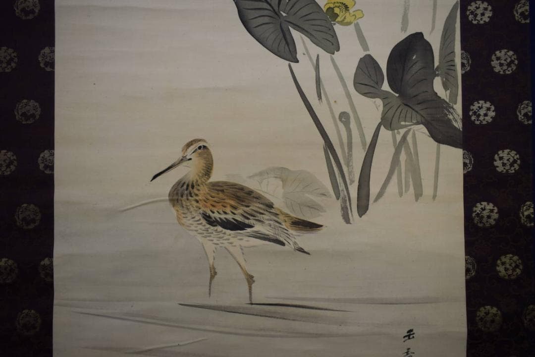 真作/川端玉章/河骨水禽図/河骨水鳥図/絹表装/布袋屋掛軸HI-346