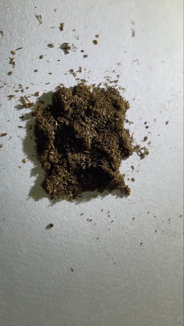 桃蓮玉